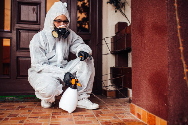 Reliable Bed Bug Control contractor in Laguna Woods, CA by Nex Pest Control